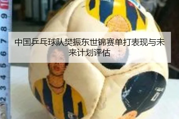 中国乒乓球队樊振东世锦赛单打表现与未来计划评估 - imsports